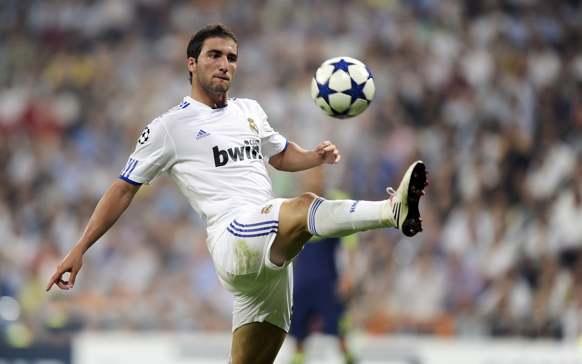 万乐天技术动作细腻获好评，万乐天启蒙教练是谁