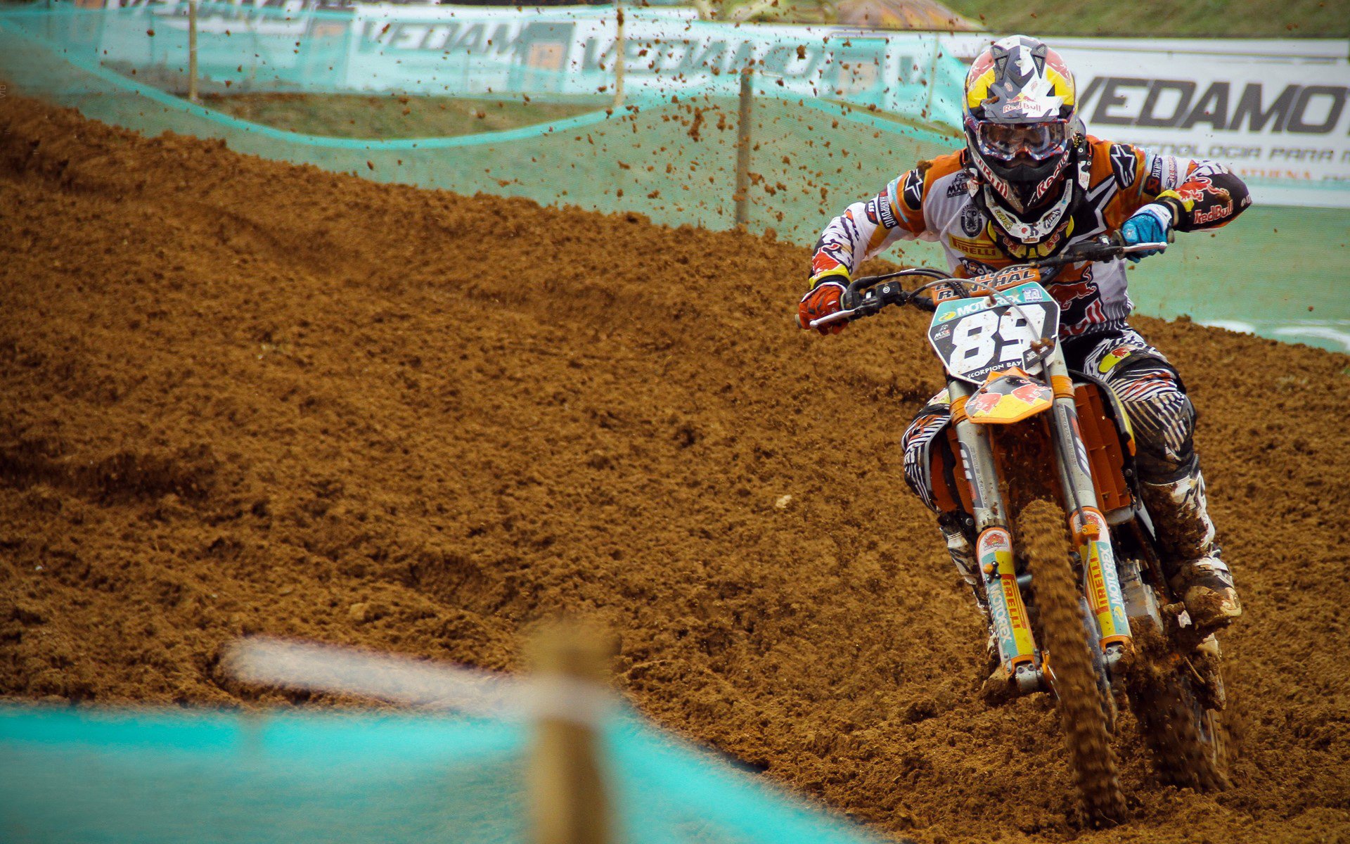 跳水高分频出突尼斯受到关注，最强跳水视频